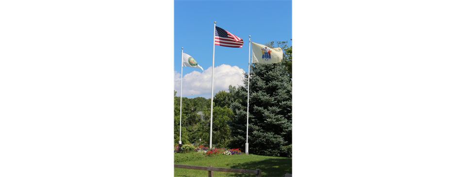 Lodestar Park Flags
